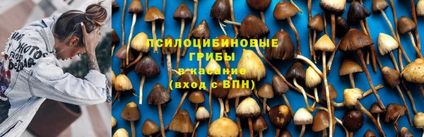 герыч Балахна