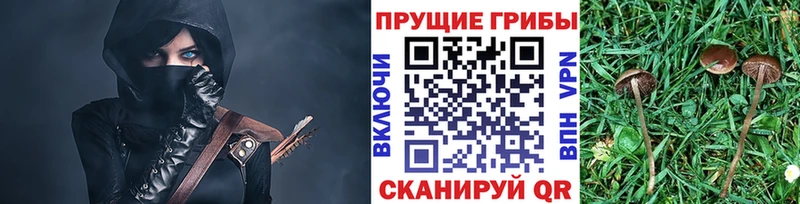 мега онион  Волчанск  Псилоцибиновые грибы мицелий  где найти  